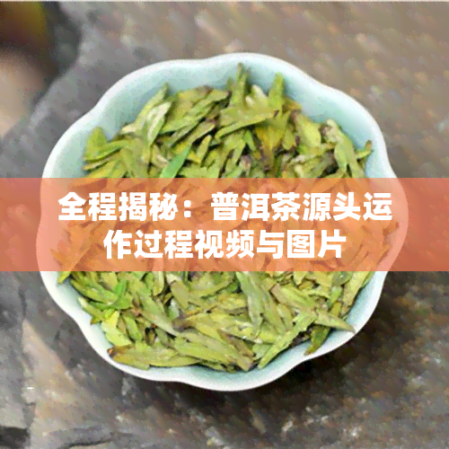 全程揭秘：普洱茶源头运作过程视频与图片