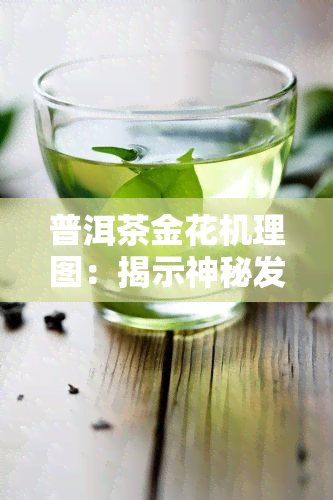 普洱茶金花机理图：揭示神秘发酵过程的视觉宴