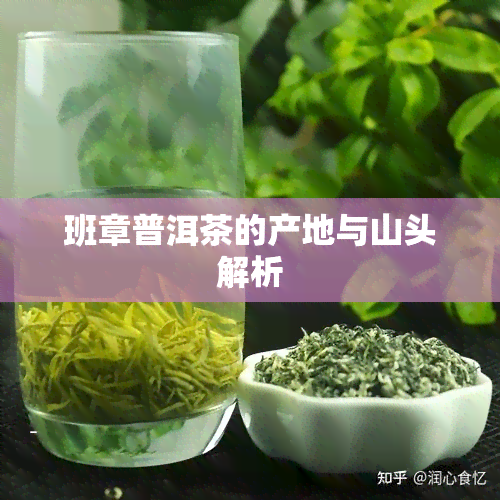 班章普洱茶的产地与山头解析