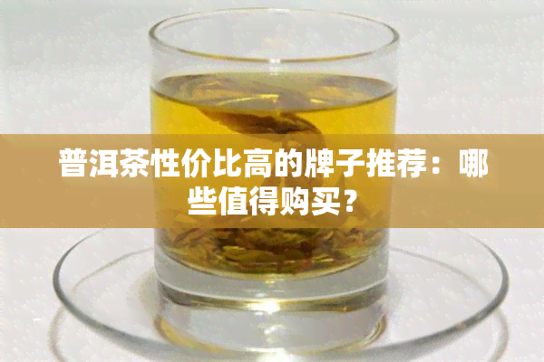 普洱茶性价比高的牌子推荐：哪些值得购买？