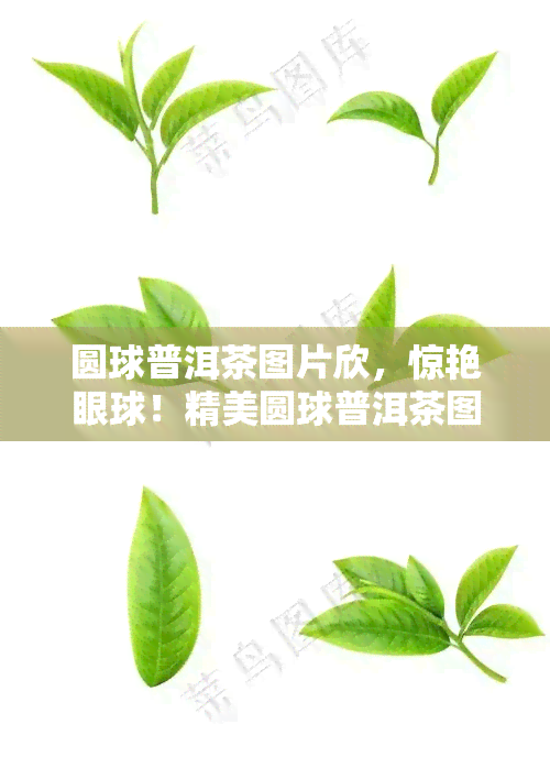 圆球普洱茶图片欣，惊艳眼球！精美圆球普洱茶图片欣