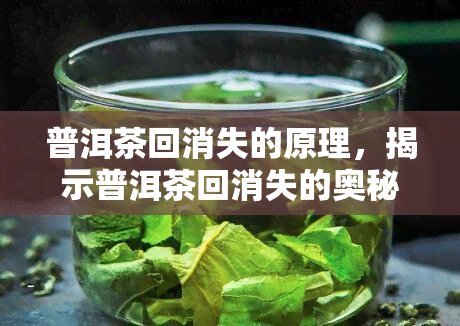 普洱茶回消失的原理，揭示普洱茶回消失的奥秘：原理解析