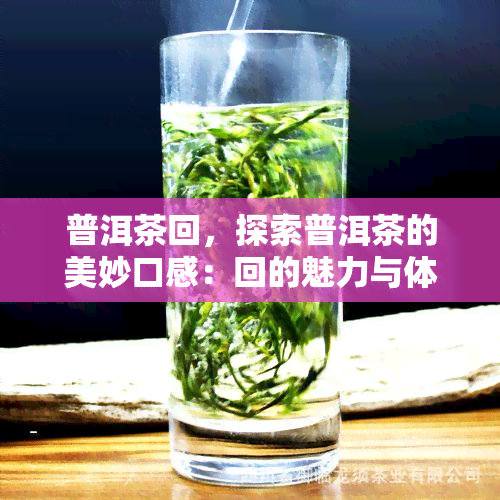 普洱茶回，探索普洱茶的美妙口感：回的魅力与体验