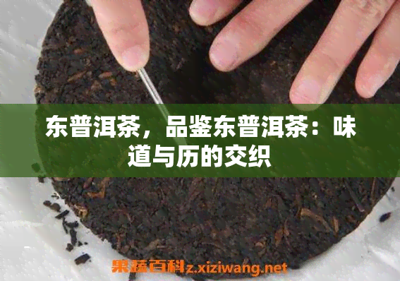 东普洱茶，品鉴东普洱茶：味道与历的交织