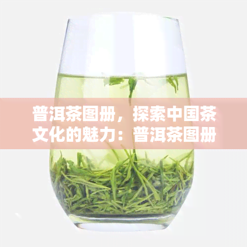 普洱茶图册，探索中国茶文化的魅力：普洱茶图册带你走进神秘的茶叶世界