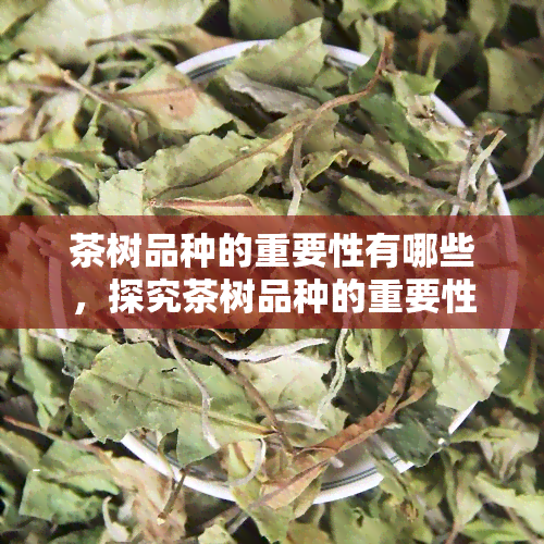 茶树品种的重要性有哪些，探究茶树品种的重要性和影响