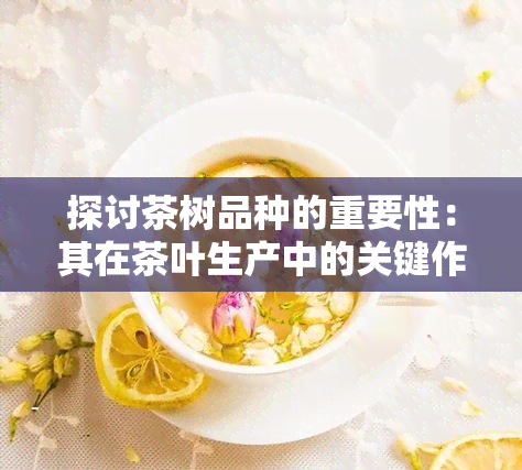 探讨茶树品种的重要性：其在茶叶生产中的关键作用