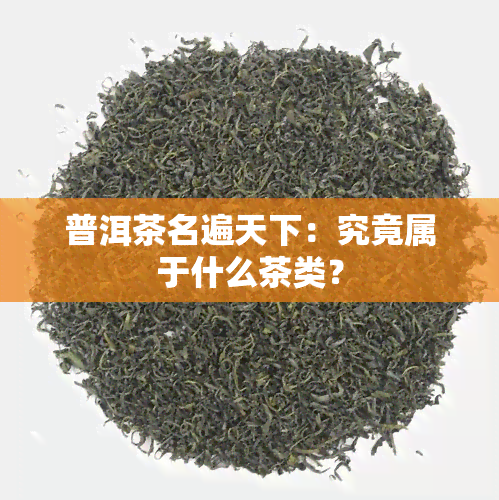 普洱茶名遍天下：究竟属于什么茶类？