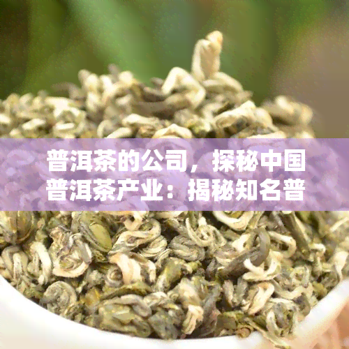 普洱茶的公司，探秘中国普洱茶产业：揭秘知名普洱茶公司的成功之道