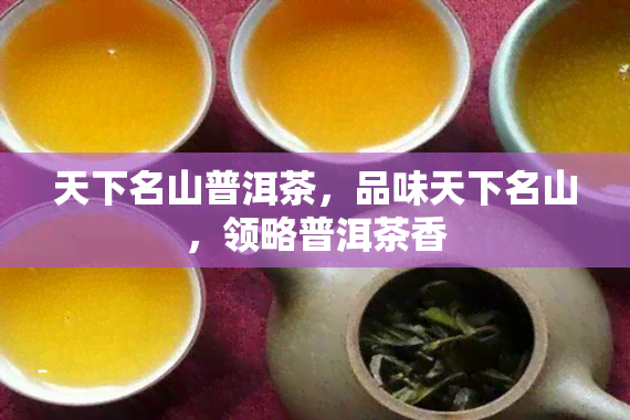 天下名山普洱茶，品味天下名山，领略普洱茶香