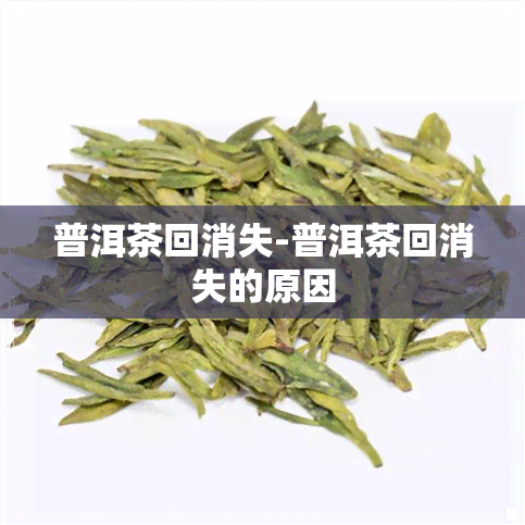 普洱茶回消失-普洱茶回消失的原因