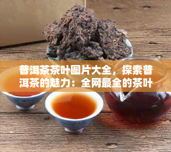 普洱茶茶叶图片大全，探索普洱茶的魅力：全网最全的茶叶图片大全！