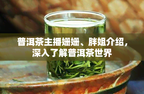 普洱茶主播姗姗、胖姐介绍，深入了解普洱茶世界