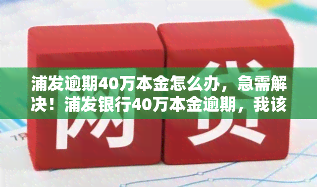 浦发逾期40万本金怎么办，急需解决！浦发银行40万本金逾期，我该怎么做？