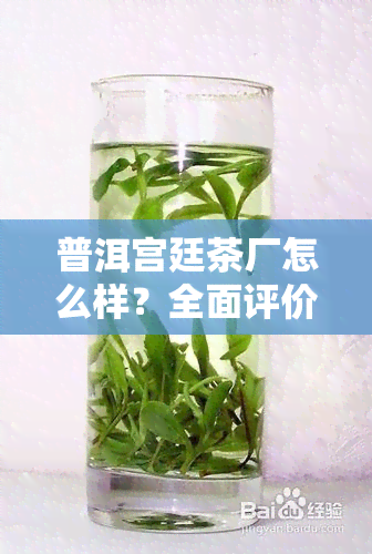 普洱宫廷茶厂怎么样？全面评价与分析