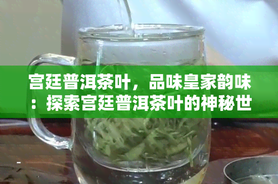 宫廷普洱茶叶，品味皇家韵味：探索宫廷普洱茶叶的神秘世界