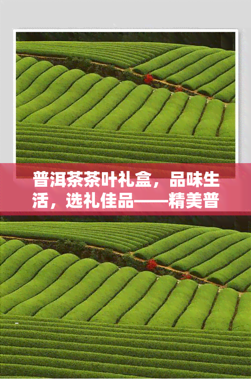 普洱茶茶叶礼盒，品味生活，选礼佳品——精美普洱茶茶叶礼盒