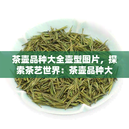 茶壶品种大全壶型图片，探索茶艺世界：茶壶品种大全及壶型图片欣