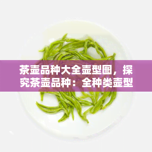 茶壶品种大全壶型图，探究茶壶品种：全种类壶型图解大公开！