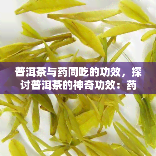 普洱茶与同吃的功效，探讨普洱茶的神奇功效：食两用，健加倍！