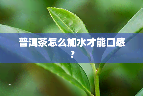 普洱茶怎么加水才能口感？