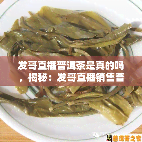 发哥直播普洱茶是真的吗，揭秘：发哥直播销售普洱茶是否真实可靠？