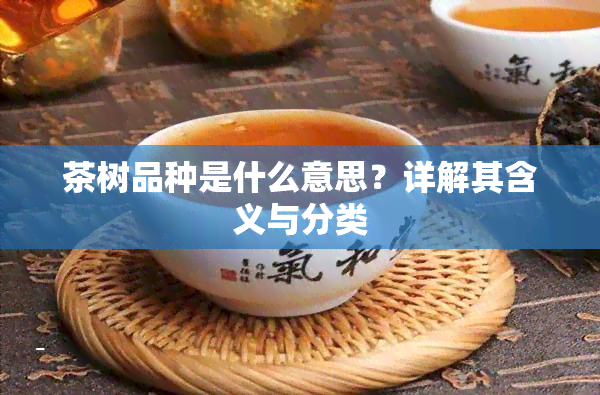 茶树品种是什么意思？详解其含义与分类