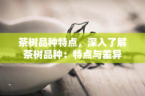 茶树品种特点，深入了解茶树品种：特点与差异