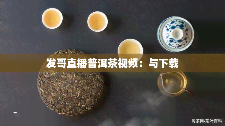 发哥直播普洱茶视频：与下载