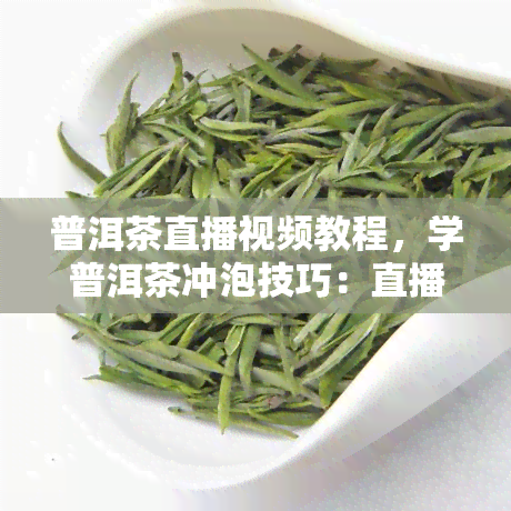 普洱茶直播视频教程，学普洱茶冲泡技巧：直播视频教程解析