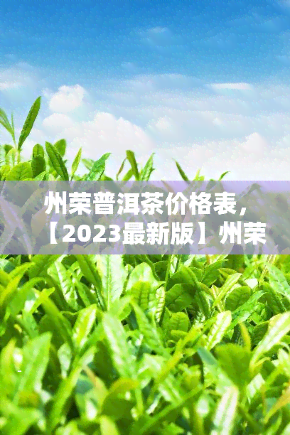 州荣普洱茶价格表，【2023最新版】州荣普洱茶价格表，品种、等级一目了然！