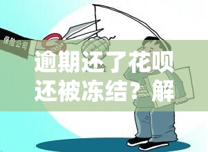 逾期还了花呗还被冻结？解决方案在此！