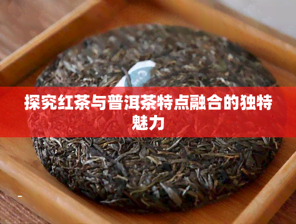 探究红茶与普洱茶特点融合的独特魅力