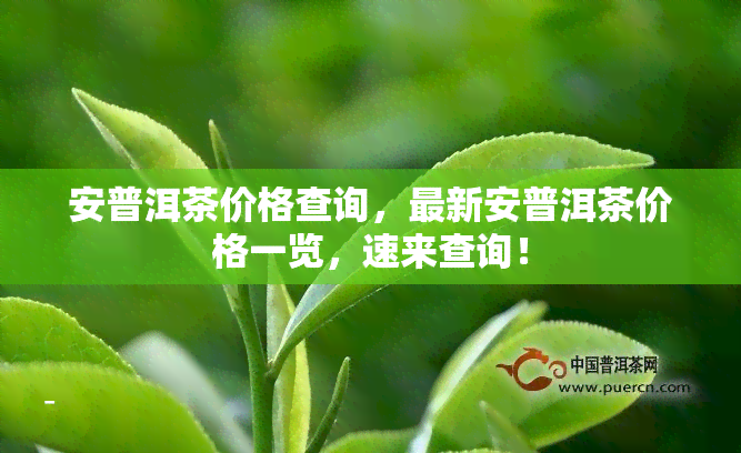 安普洱茶价格查询，最新安普洱茶价格一览，速来查询！