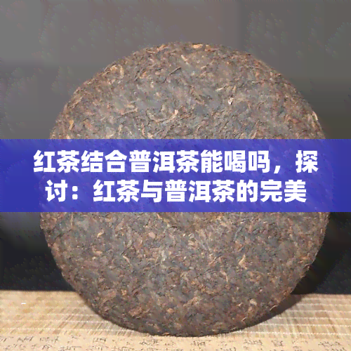 红茶结合普洱茶能喝吗，探讨：红茶与普洱茶的完美融合，能否兼得其美？