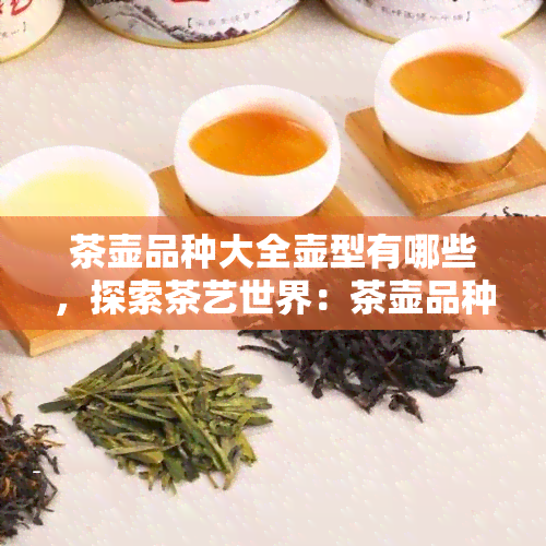 茶壶品种大全壶型有哪些，探索茶艺世界：茶壶品种大全及常见壶型介绍