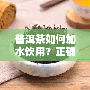 普洱茶如何加水饮用？正确方法与技巧分享