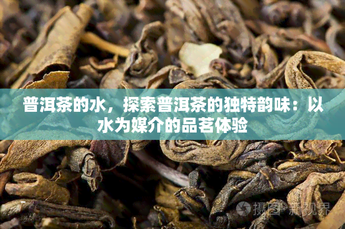 普洱茶的水，探索普洱茶的独特韵味：以水为媒介的品茗体验