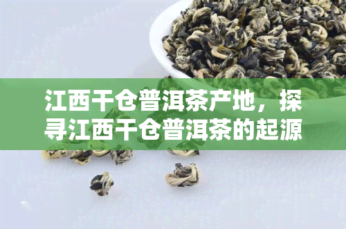 江西干仓普洱茶产地，探寻江西干仓普洱茶的起源与魅力