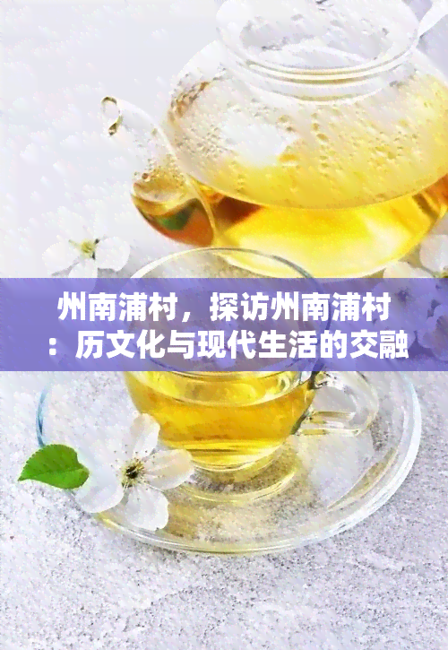 州南浦村，探访州南浦村：历文化与现代生活的交融