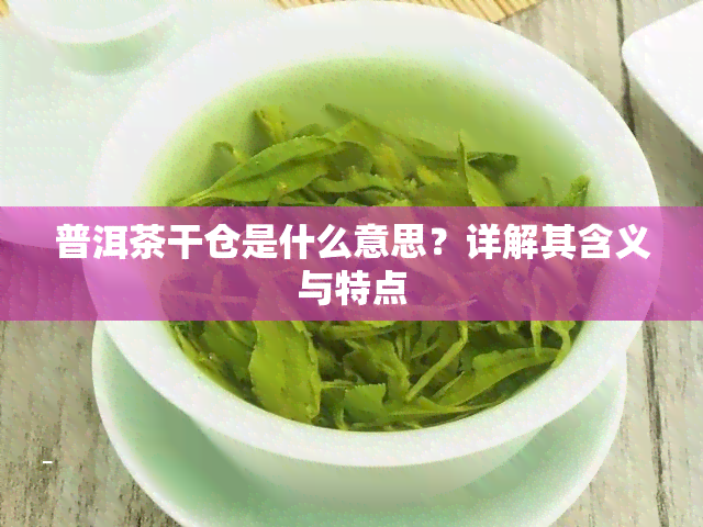 普洱茶干仓是什么意思？详解其含义与特点