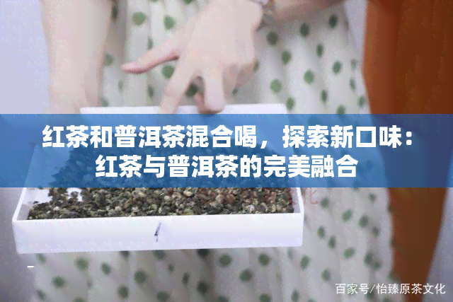 红茶和普洱茶混合喝，探索新口味：红茶与普洱茶的完美融合