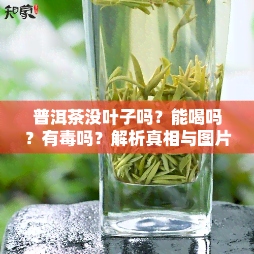 普洱茶没叶子吗？能喝吗？有吗？解析真相与图片