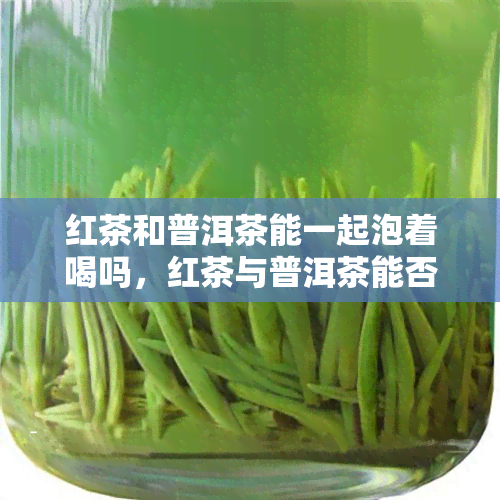 红茶和普洱茶能一起泡着喝吗，红茶与普洱茶能否混搭饮用？