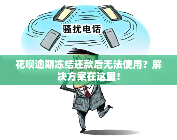 花呗逾期冻结还款后无法使用？解决方案在这里！