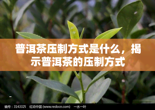 普洱茶压制方式是什么，揭示普洱茶的压制方式