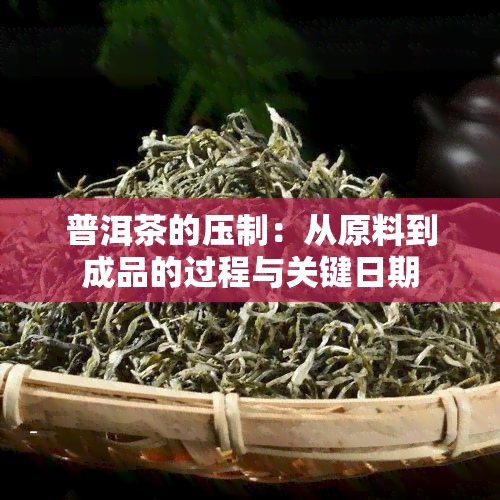 普洱茶的压制：从原料到成品的过程与关键日期