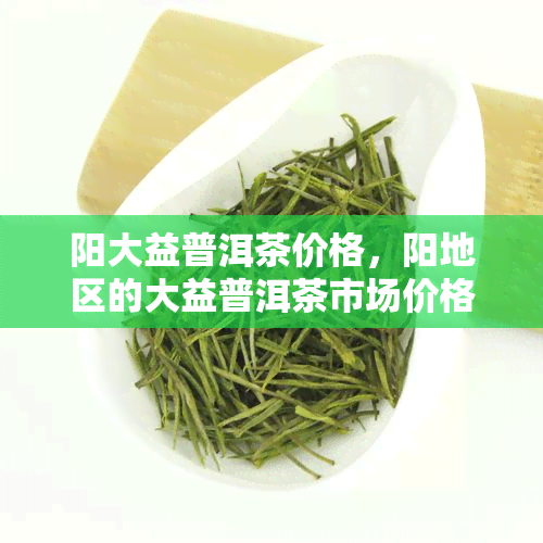 阳大益普洱茶价格，阳地区的大益普洱茶市场价格走势分析