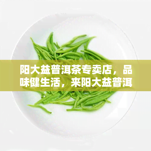 阳大益普洱茶专卖店，品味健生活，来阳大益普洱茶专卖店