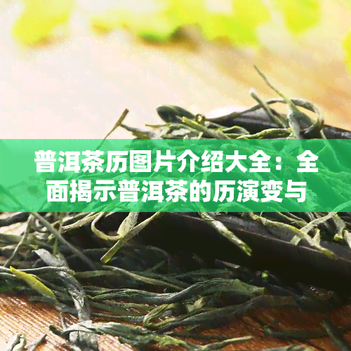 普洱茶历图片介绍大全：全面揭示普洱茶的历演变与发展过程